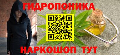 мдпв Боровичи